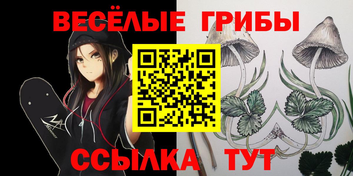 Галлюциногенные грибы прущие грибы  Вход с VPN  Уссурийск  где купить   Галлюциногенные грибы GOLDEN TEACHER 